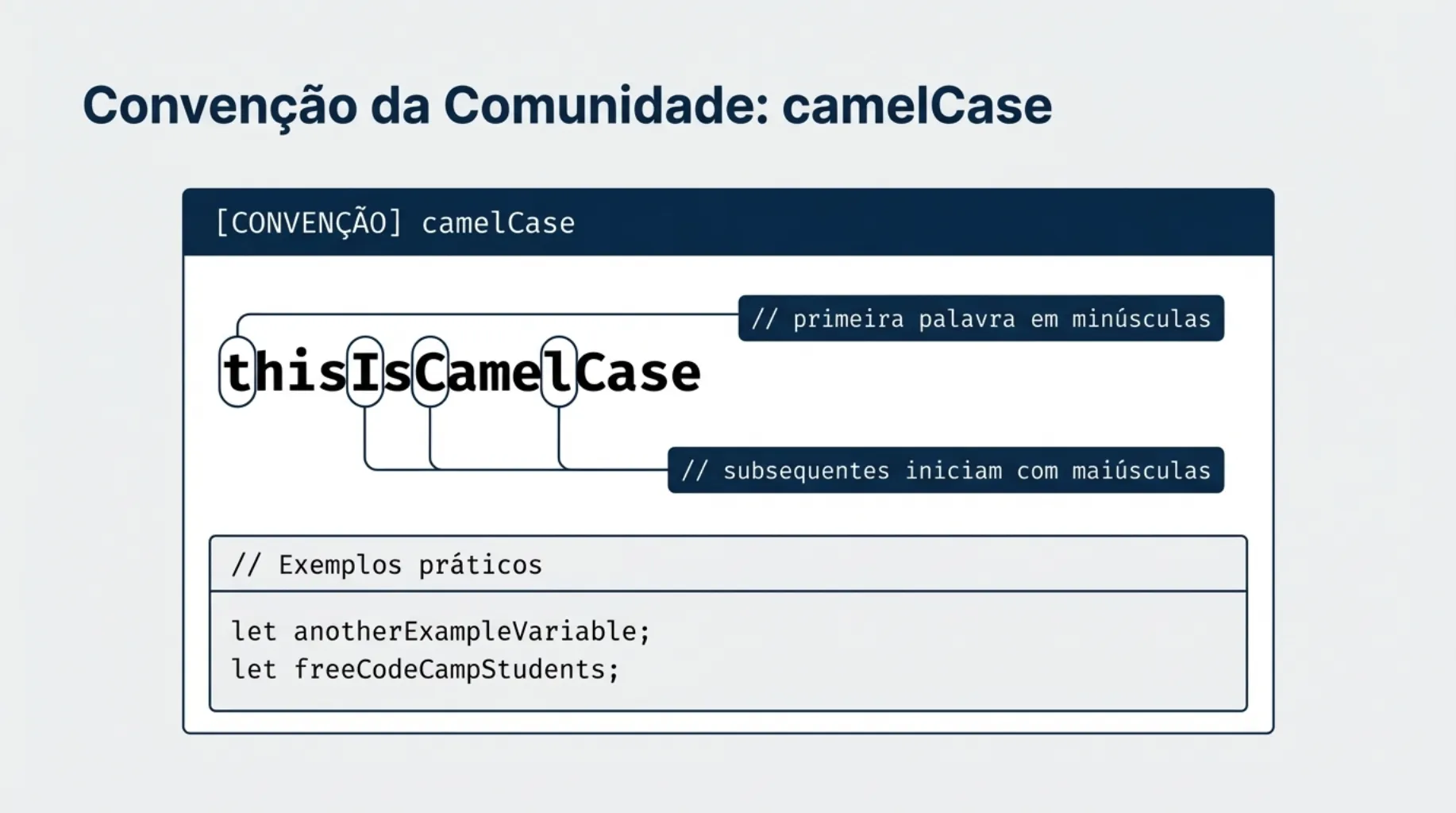 Convenção camelCase com exemplos práticos